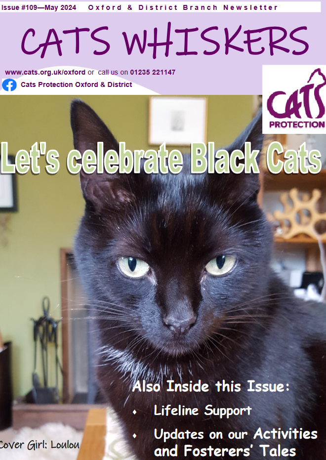 Sample cover of Cat's Whiskers, our quarterly newsletter