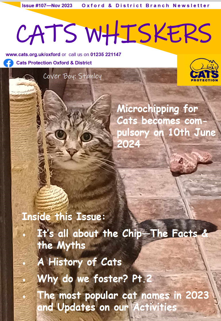 Sample cover of Cat's Whiskers, our quarterly newsletter