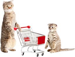 Two cats with a shopping cart