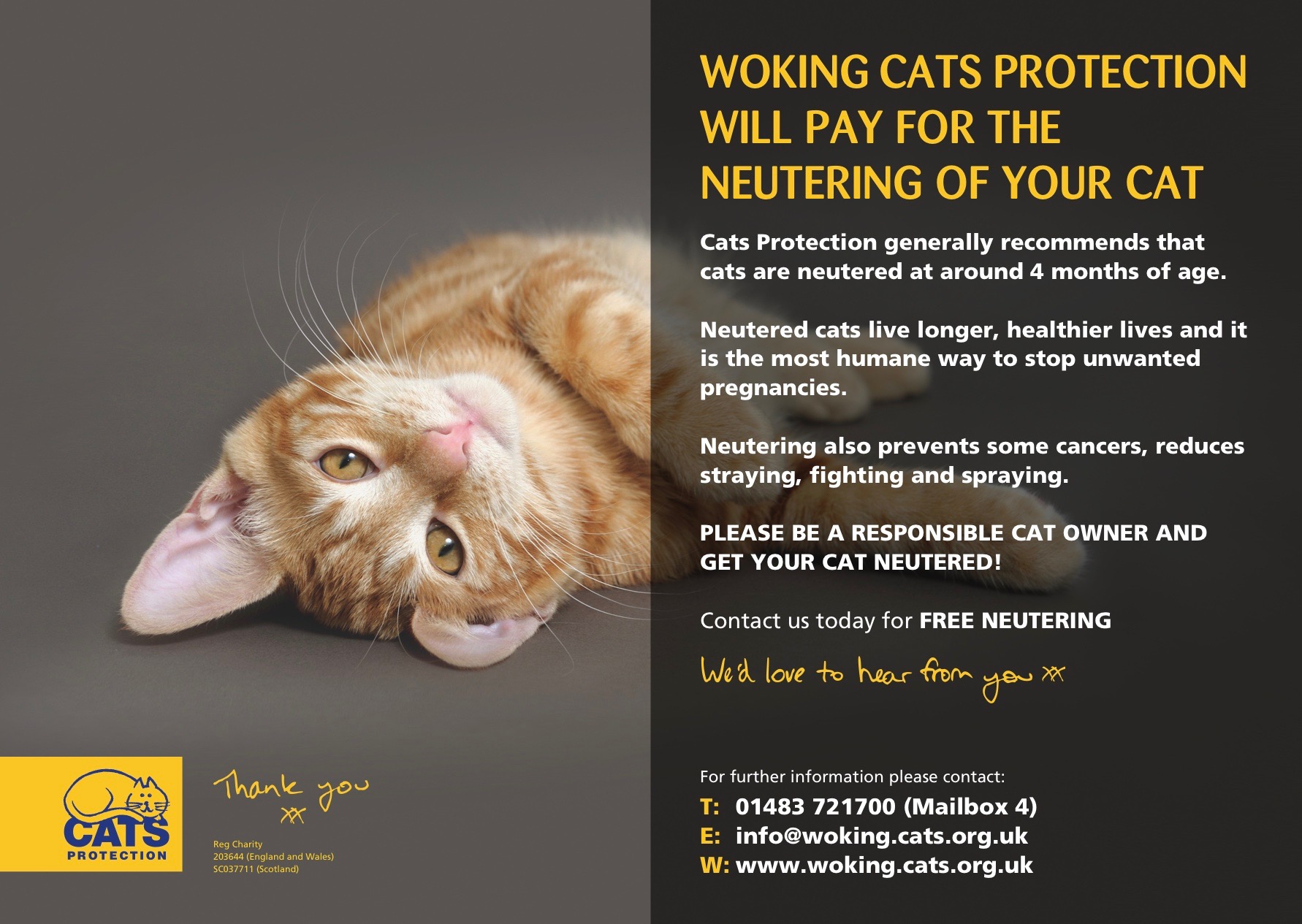 Welcome to Cats Protection Woking & District
