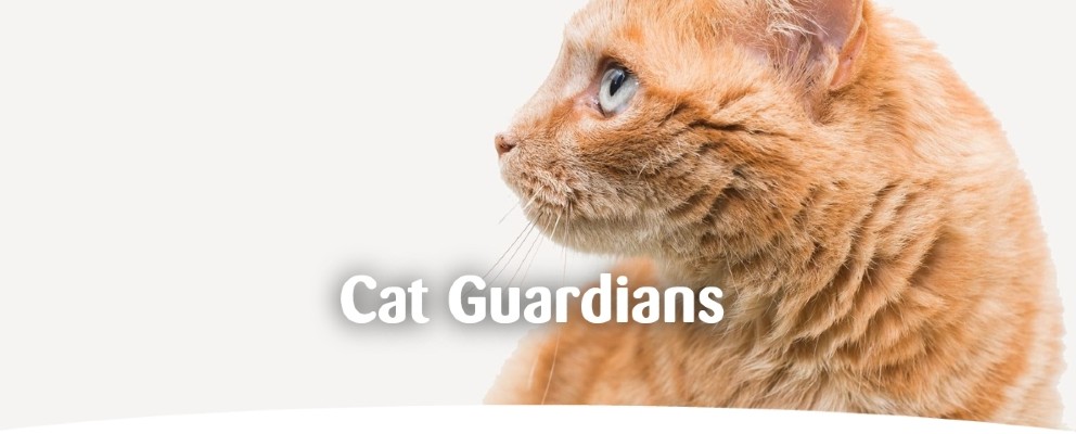 Cat Guardian 