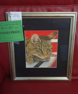 Win a Painting of Fudge