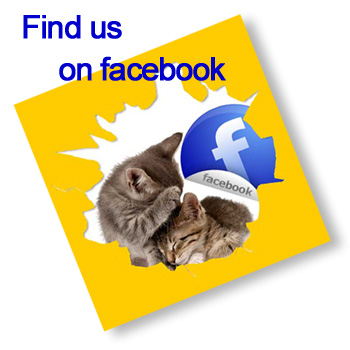 Find us on facebook picture